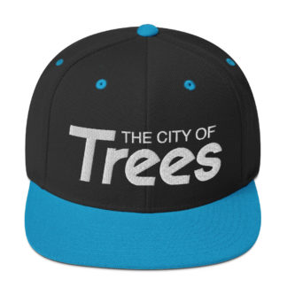 The City Of Trees Boise Idaho Snapback Hat
