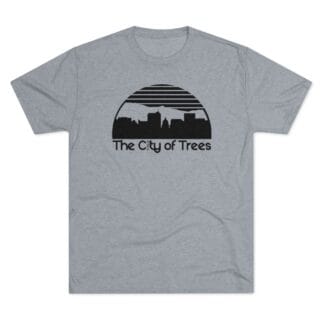 Boise Idaho City Of Trees Skyline Men's Tri-Blend T-Shirt