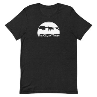 OG Boise Skyline Unisex t-shirt